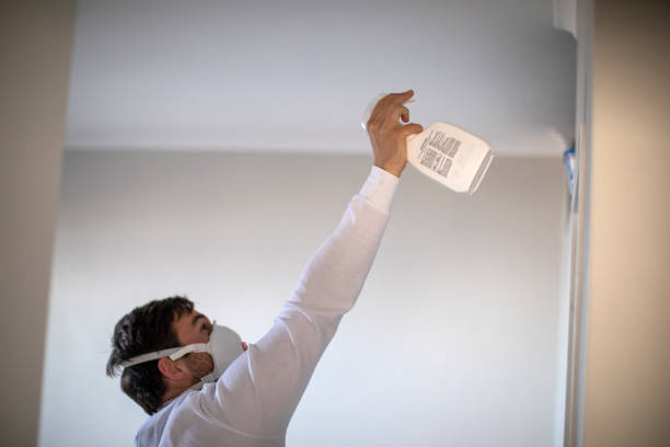 Best Mold Remediation Experts  in Ricardo, TX