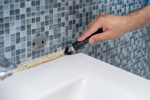 Best Mold Testing  in Ricardo, TX